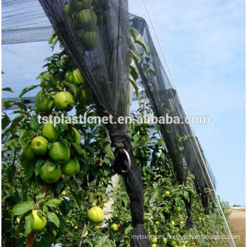 apple orchard hail net system